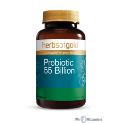 HERBS OF GOLD Probiotic 55 Billion - Go Vita Burwood