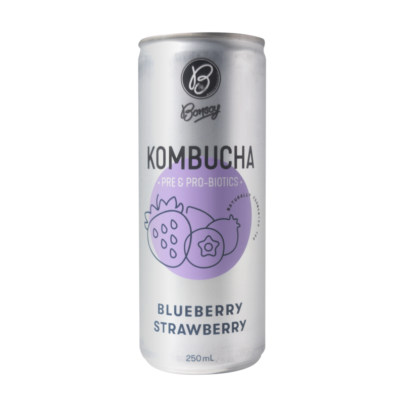 Bonsoy Kombucha Blueberry Strawberry 250ml | Pre & Pro-biotics