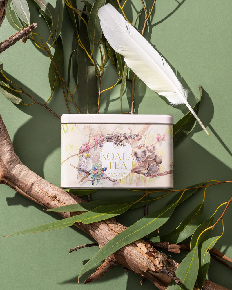 KOALA TEA Brand Mixed Tin Tea 20tb