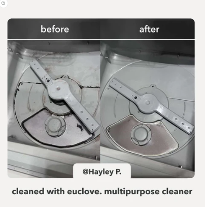 Euclove Natural Multi-Purpose Cleaner Spray – 500 ml | Plant-Based, Non-Toxic Surface Cleaner with Eucalyptus & Neem