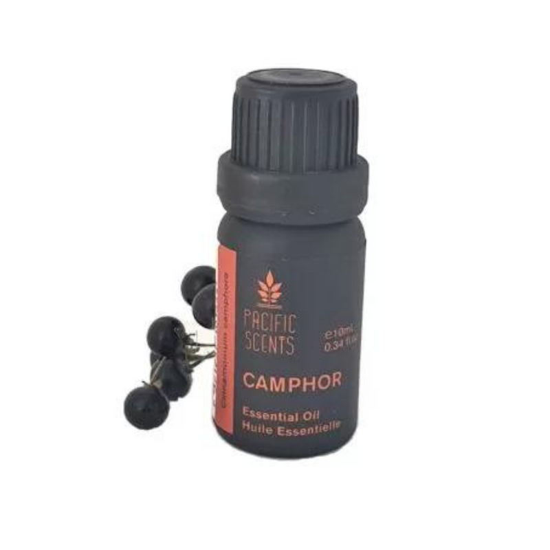 PACIFIC SCENTS Camphor Essential Oil 10ml