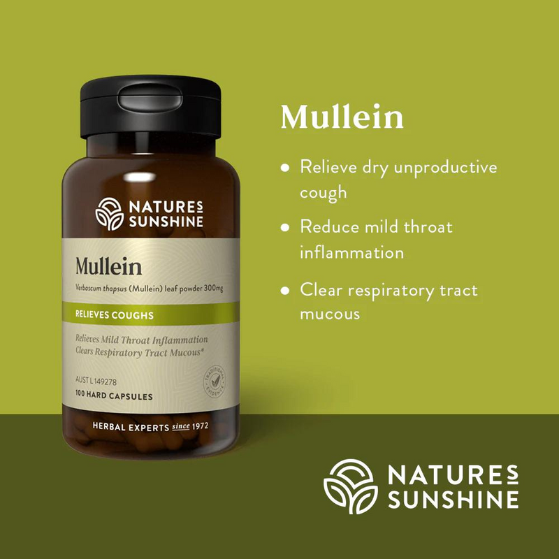 NATURES SUNSHINE Mullein 290mg