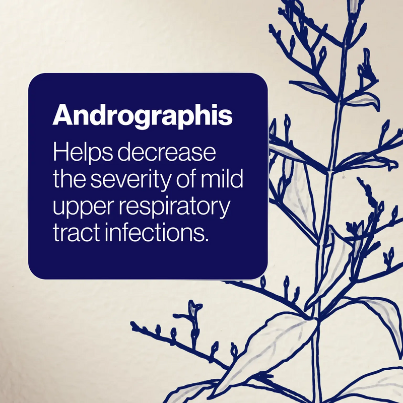 BioCeuticals ArmaForce 60 Tablets: Vegan Immune Support for Cold & Flu Relief