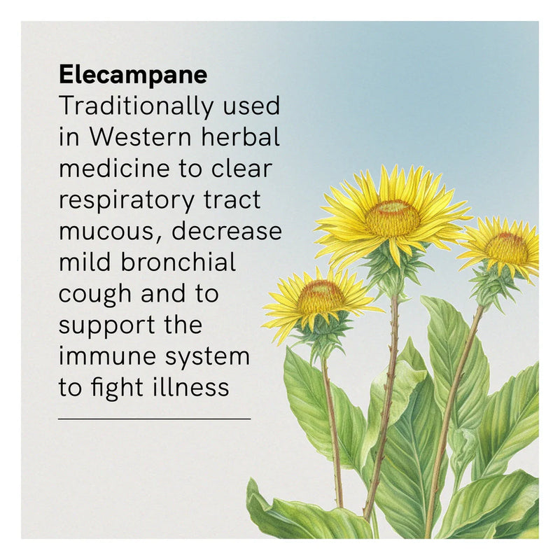 FUSION HEALTH Cough Lung Tonic Liquid