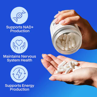 Melrose FutureLab NMN Capsules 500mg 30 Capsules – High Strength NMN for NAD+ & Cellular Energy Support