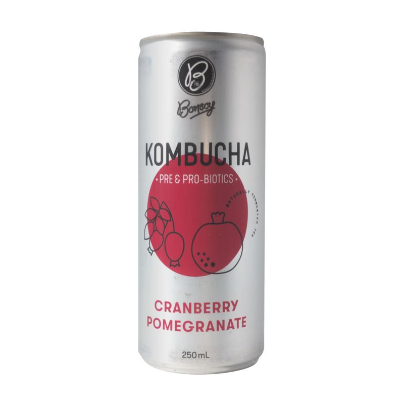 Bonsoy Kombucha Cranberry Pomegranate250ml | Pre & Pro-biotics