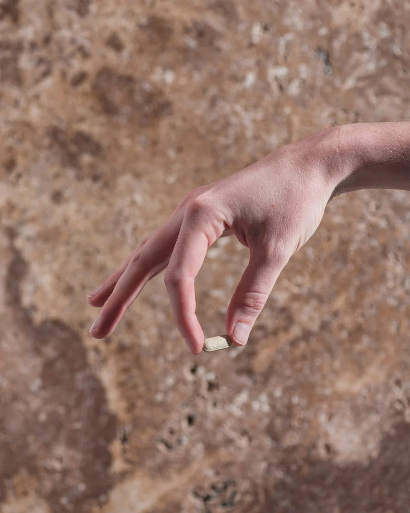 Herbs of Gold Wormwood Clear 84 Tablets - Natural Vermifuge Worming Formula for Adults & Kids