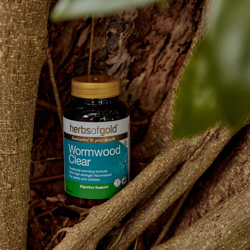 HERBS OF GOLD Wormwood Clear 28t