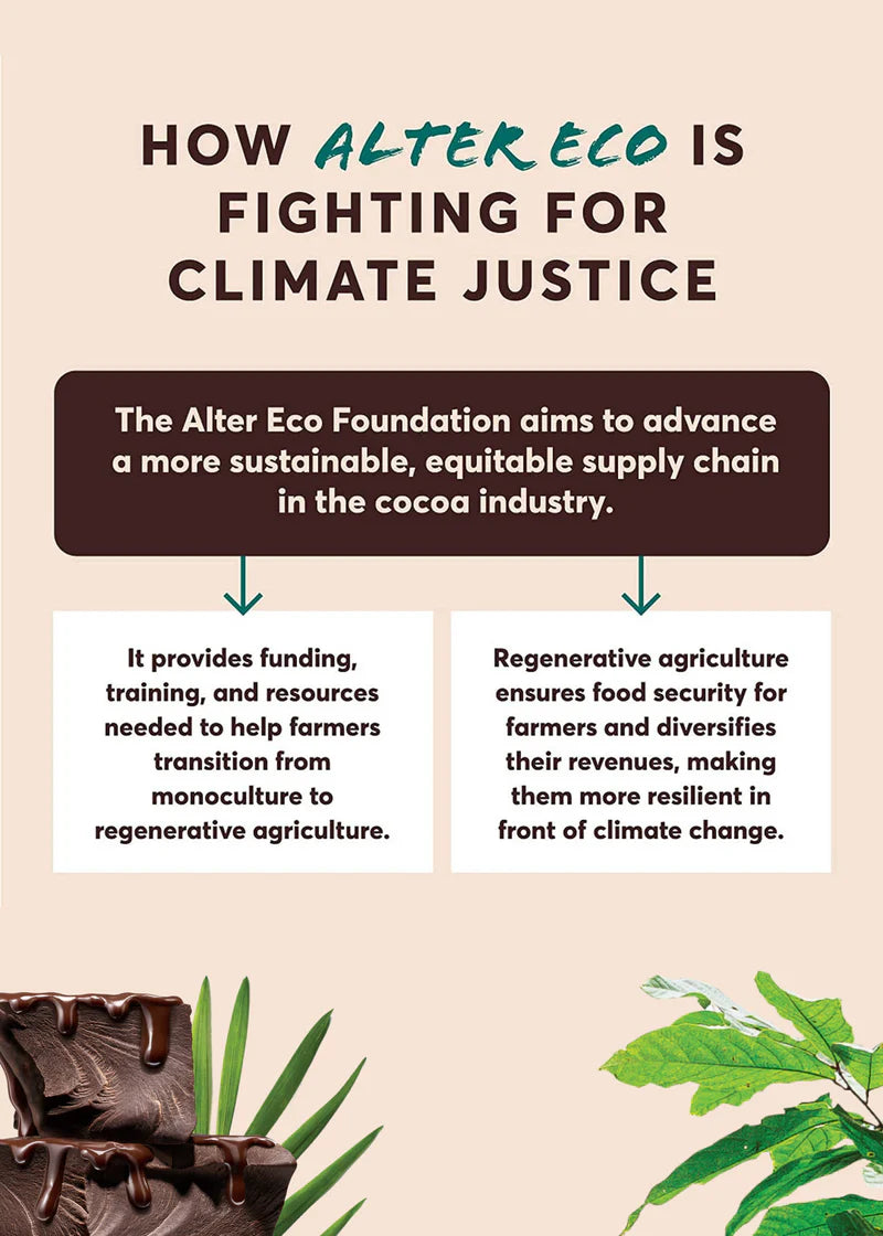 ALTER ECO Chocolate Organic Dark Mint Blackout 75g