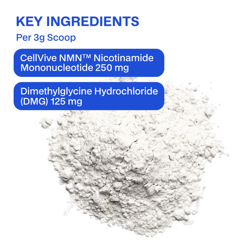 Melrose FutureLab NMN Powder 90g – High Strength NMN Powder for NAD+ & Cellular Energy Support