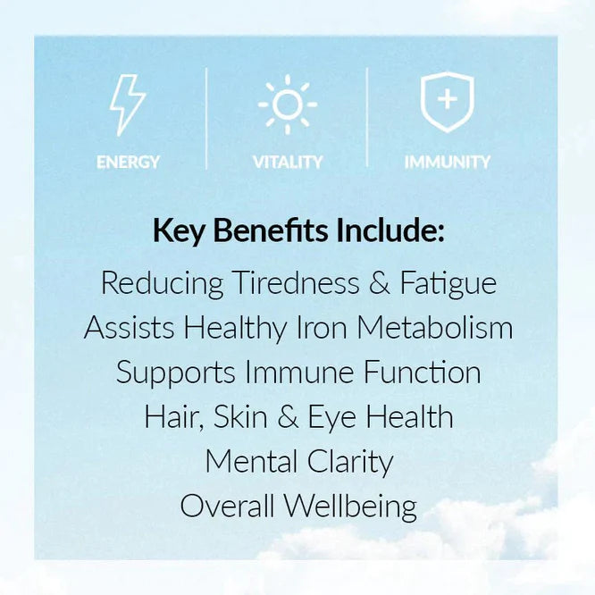 Ancestral Nutrition Primal Iron Powder 60g