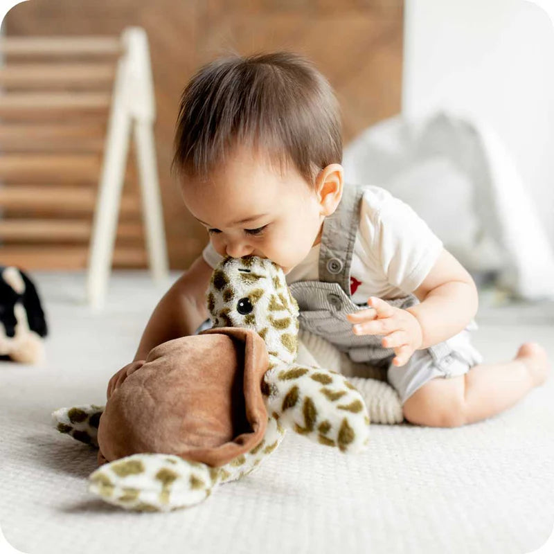 Warmies Heatable Soft Toy Turtle