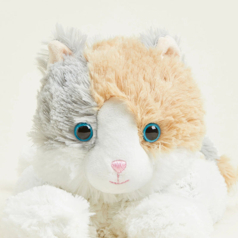 Warmies Ginger Cat Heatable & Freezable Plush Toy – Microwaveable Soft Toy for Warmth, Cooling & Comfort