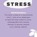 JS HEALTH ANXIETY + STRESS FORMULA - 60 TABLETS - Go Vita Burwood