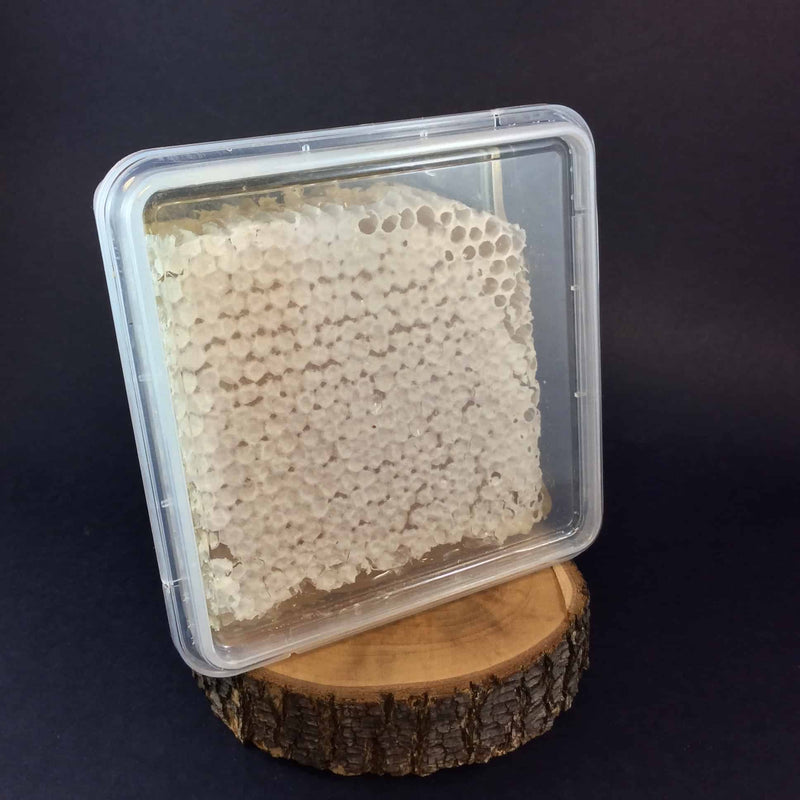 BB Raw Honeycomb Bricks 400g - Go Vita Burwood