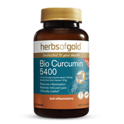 HERBS OF GOLD Bio Curcumin 5400 - Go Vita Burwood