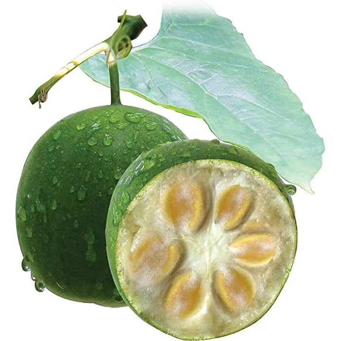 LAKANTO Golden Monkfruit 11 Raw Sugar Substitute