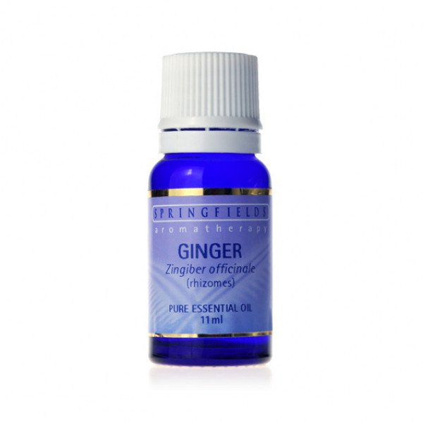 SPRINGFIELDS GINGER 11ml - Go Vita Burwood